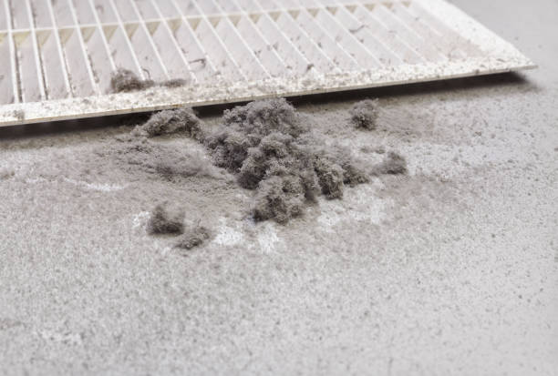 Best Affordable Duct Cleaning Services  in Meadows Place, TX